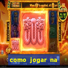 como jogar na teimosinha da lotofacil